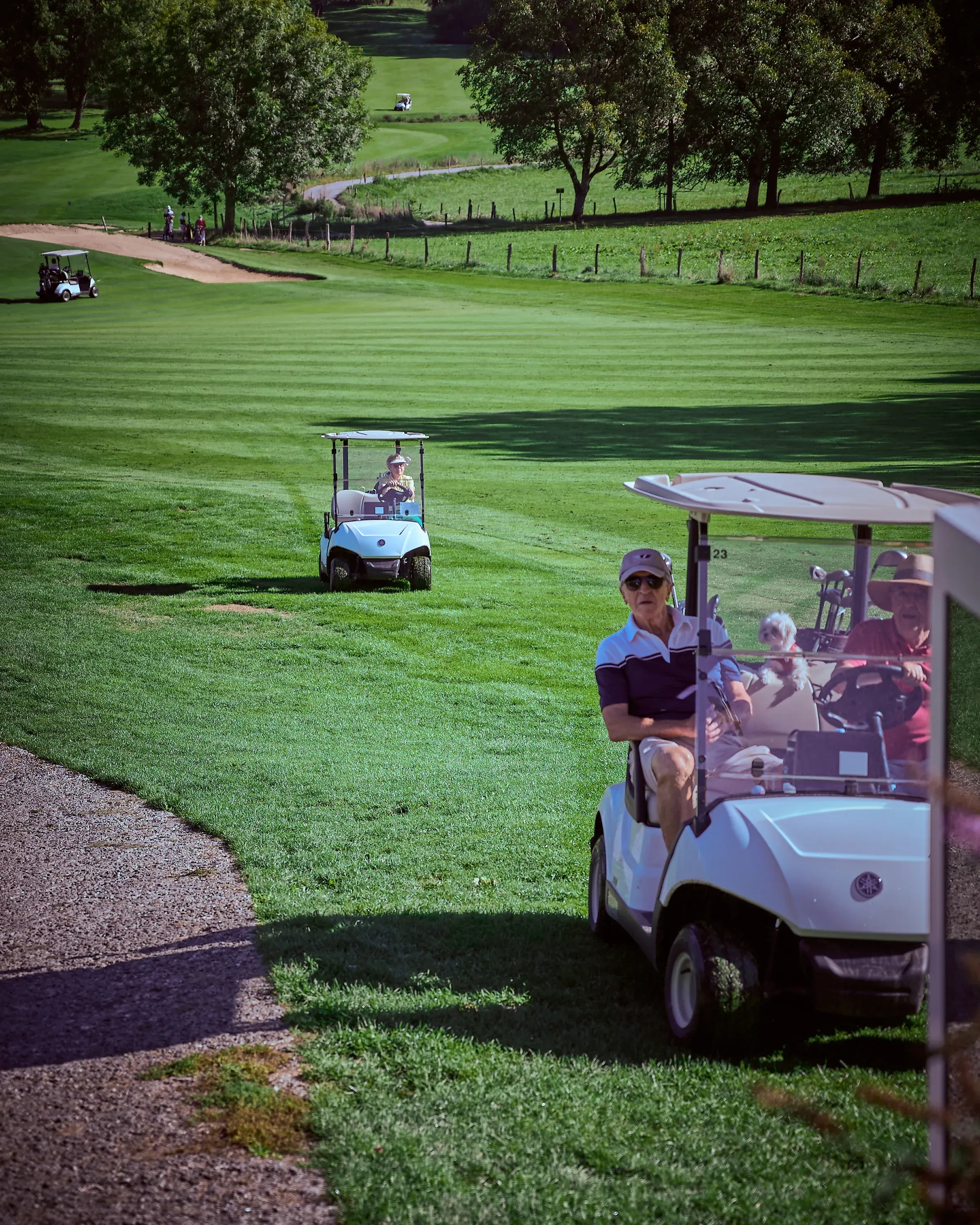 Golfeurs en voiturettes blanches avec un petit chien sur le fairway rayé du Golf des Alpes à Giez, reportage photo d'événement
