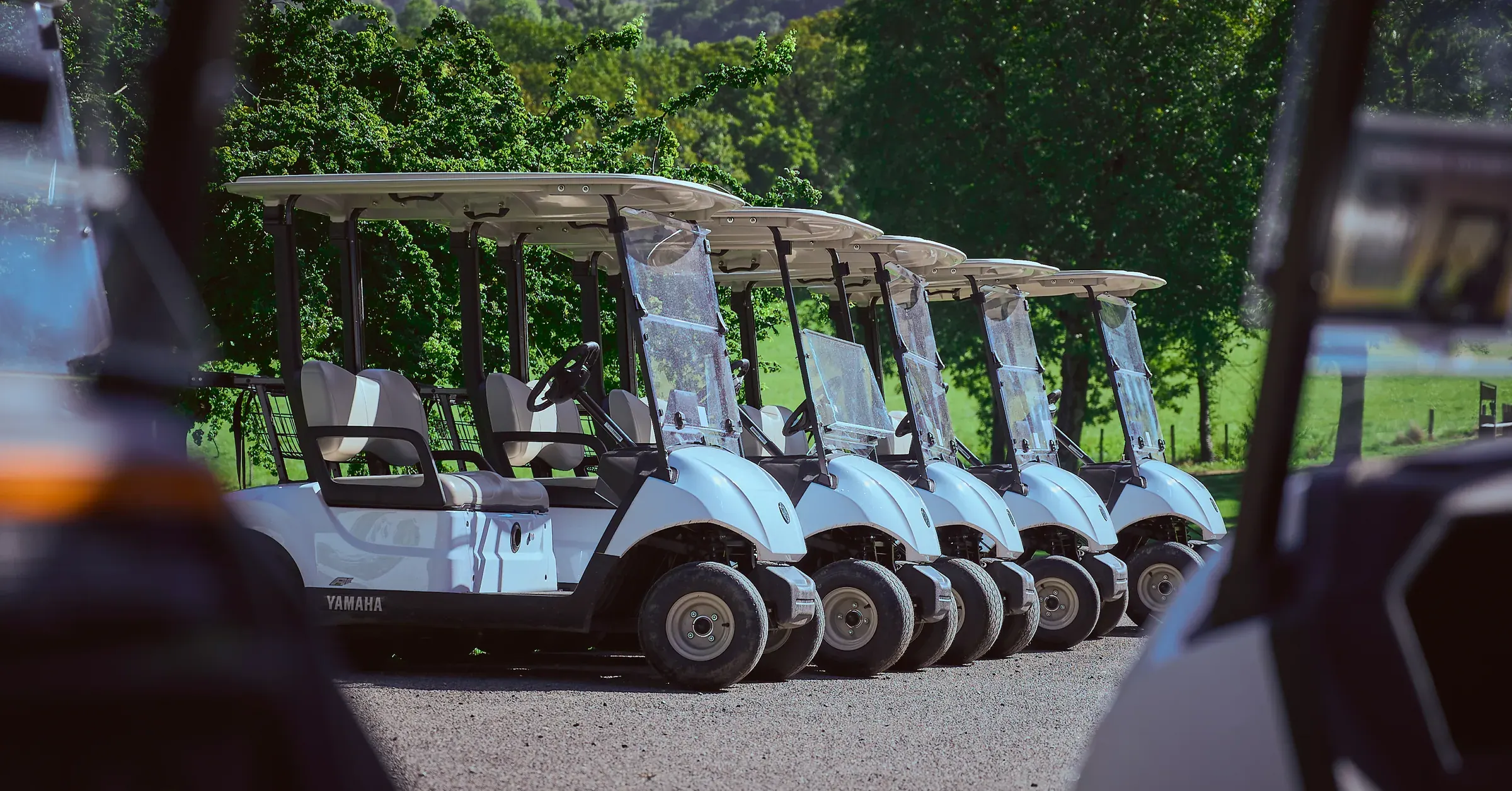 Rangée de voiturettes de golf Yamaha blanches alignées devant les arbres du Golf des Alpes à Giez, photographie automobile