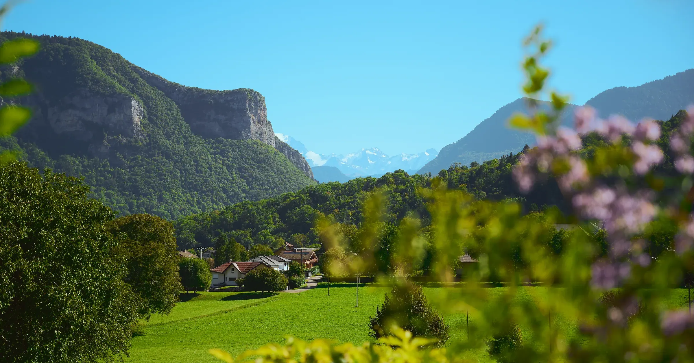 Vallée verdoyante de Giez, falaises boisées et sommets enneigés au loin, fleurs en premier plan, photographe automobile